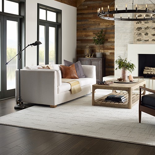 Living room rug | Payne's Carpet Outlet